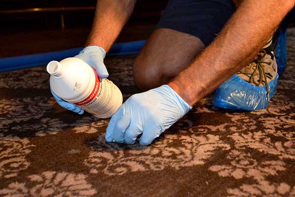 Professional commercial carpet, rug, sofa and upholstery cleaning in Sedgefield, Wynard, Billingham and Stockton