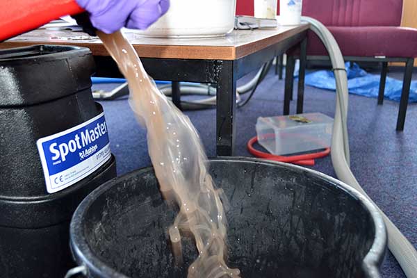 Professional commercial carpet, rug, sofa and upholstery cleaning in Sedgefield, Wynard, Billingham and Stockton