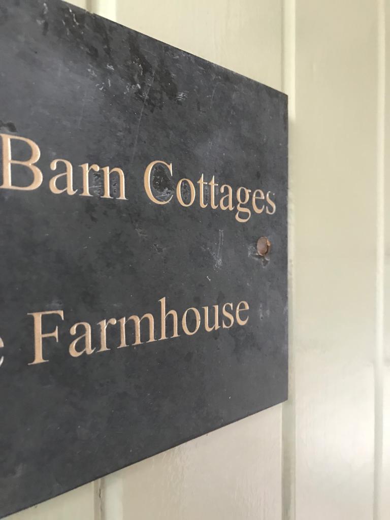 Professional commercial carpet, rug, sofa and upholstery cleaning in Sedgefield, Wynard, Billingham and Stockton