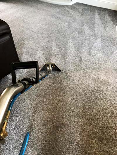 Sedgefield and Wynyard carpet, rug, sofa and upholstery cleaners