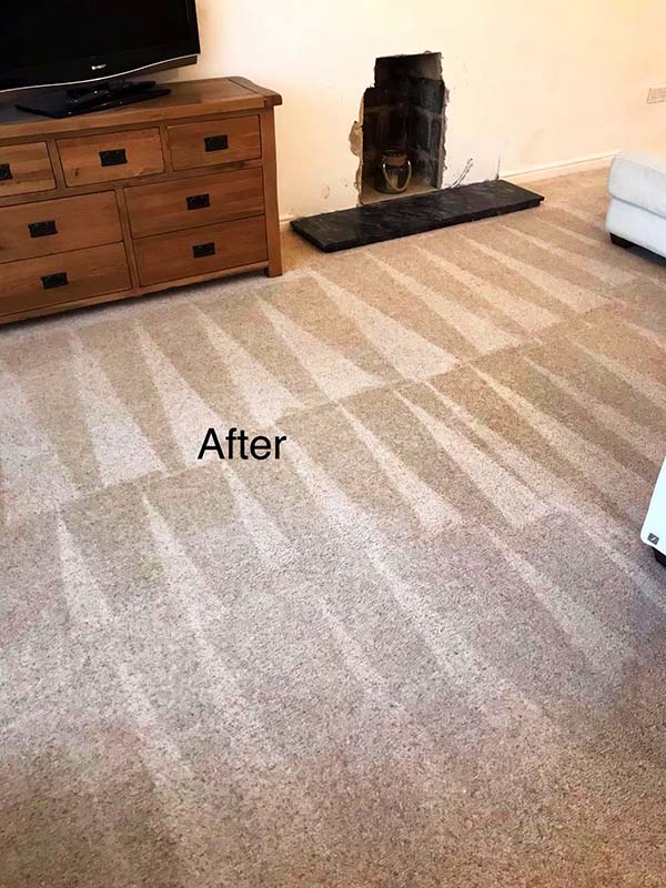 Sedgefield and Wynyard carpet, rug, sofa and upholstery cleaners