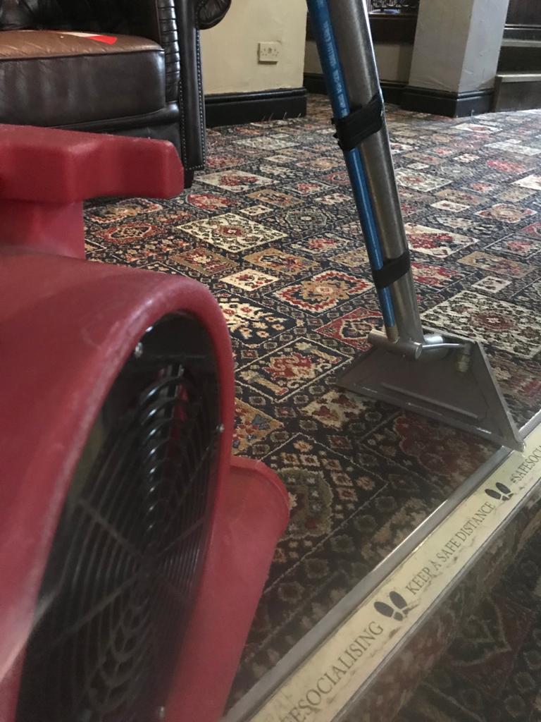 Sedgefield and Wynyard carpet, rug, sofa and upholstery cleaners