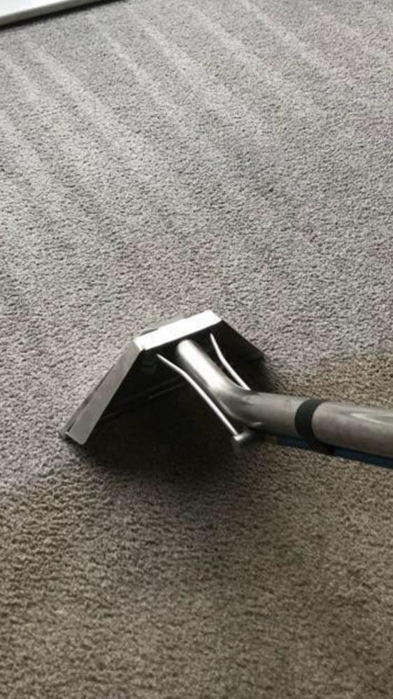 Sedgefield and Wynyard carpet, rug, sofa and upholstery cleaners