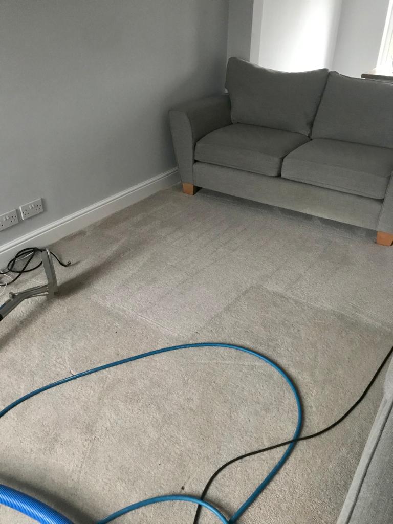 Sedgefield and Wynyard carpet, rug, sofa and upholstery cleaners